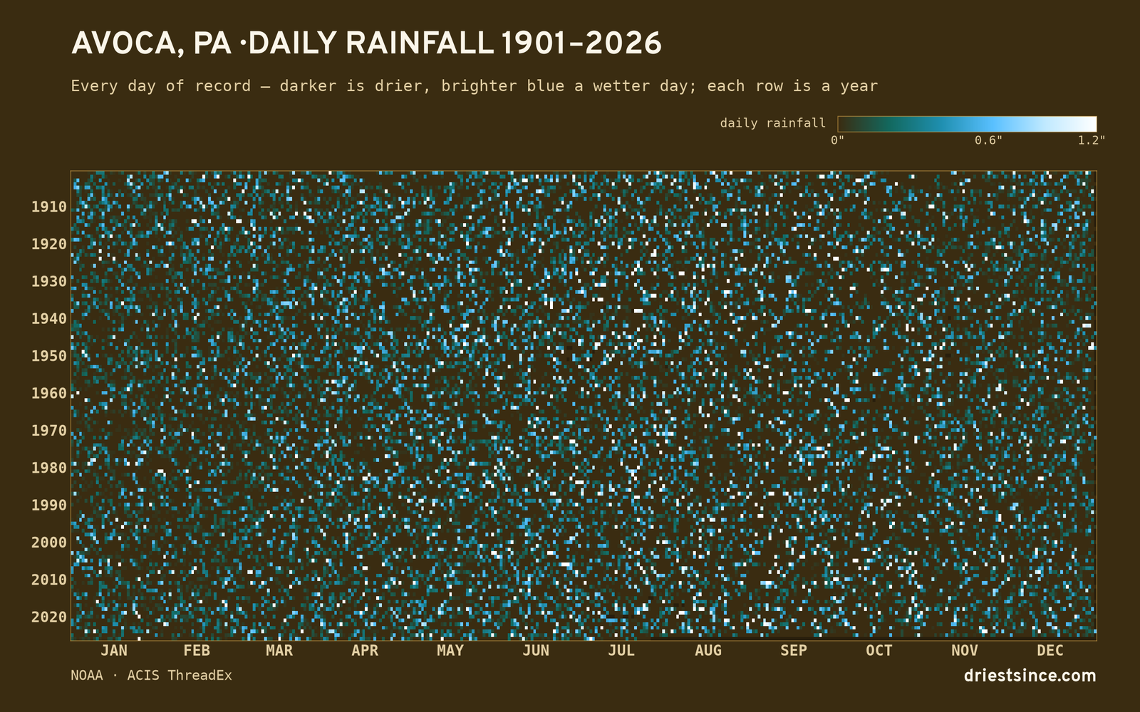 Avoca, PA — daily rainfall every day on record