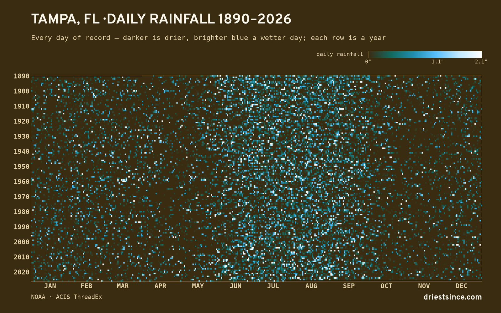 Tampa, FL — daily rainfall every day on record